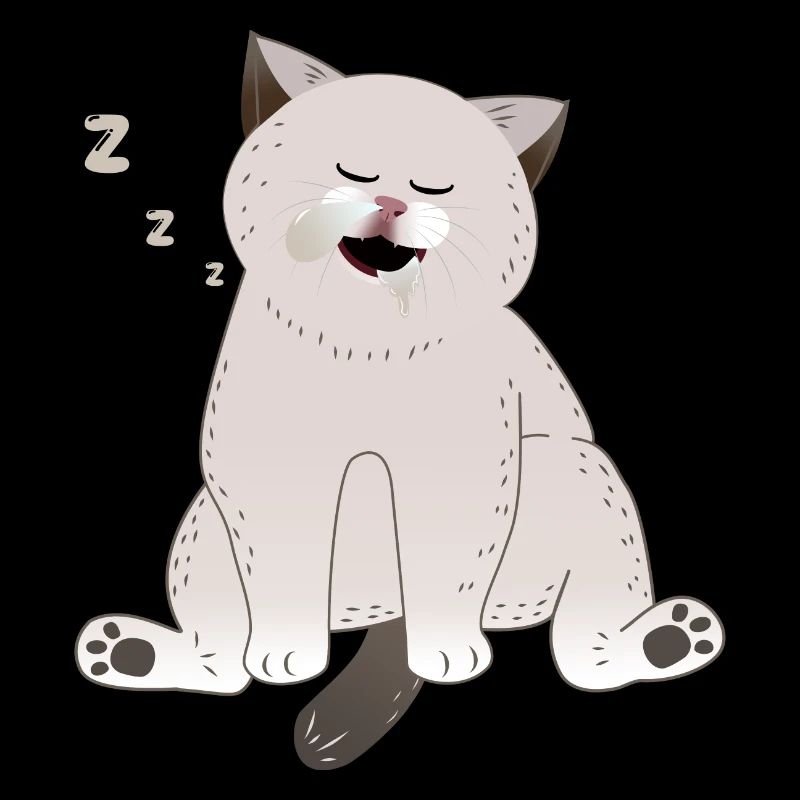chat endormi
