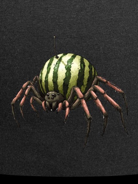 Melon Spider