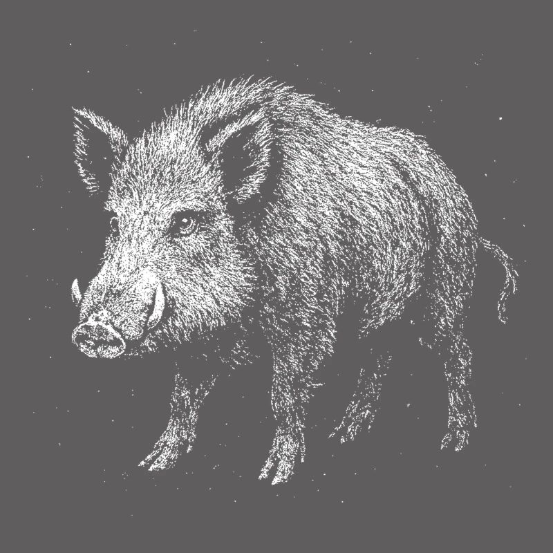 Wild boar