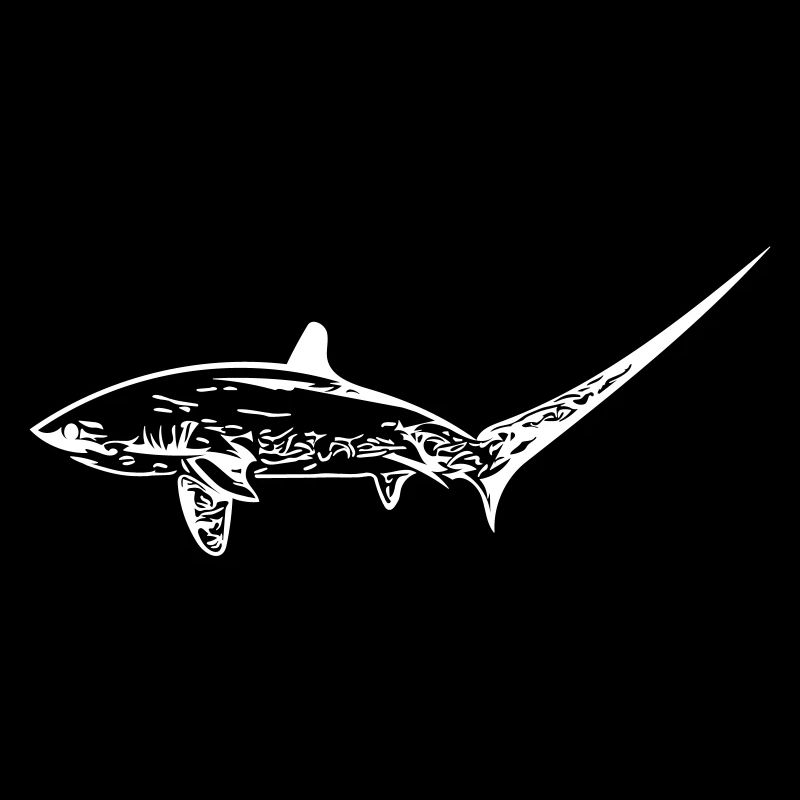 Requin renard élégant