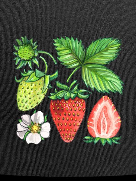 Fraises