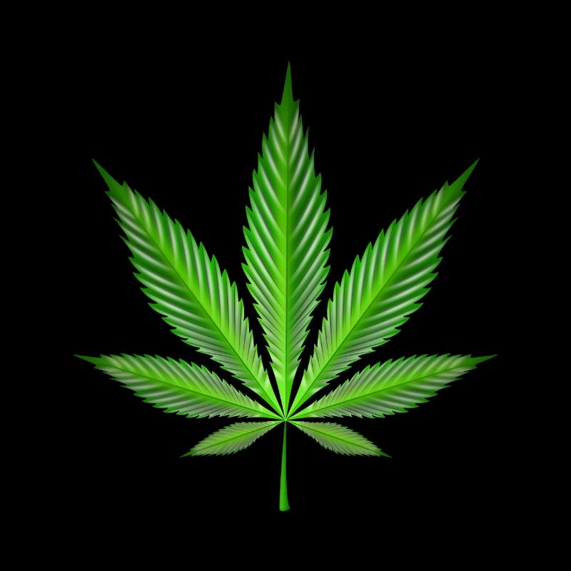 Cannabis leaf