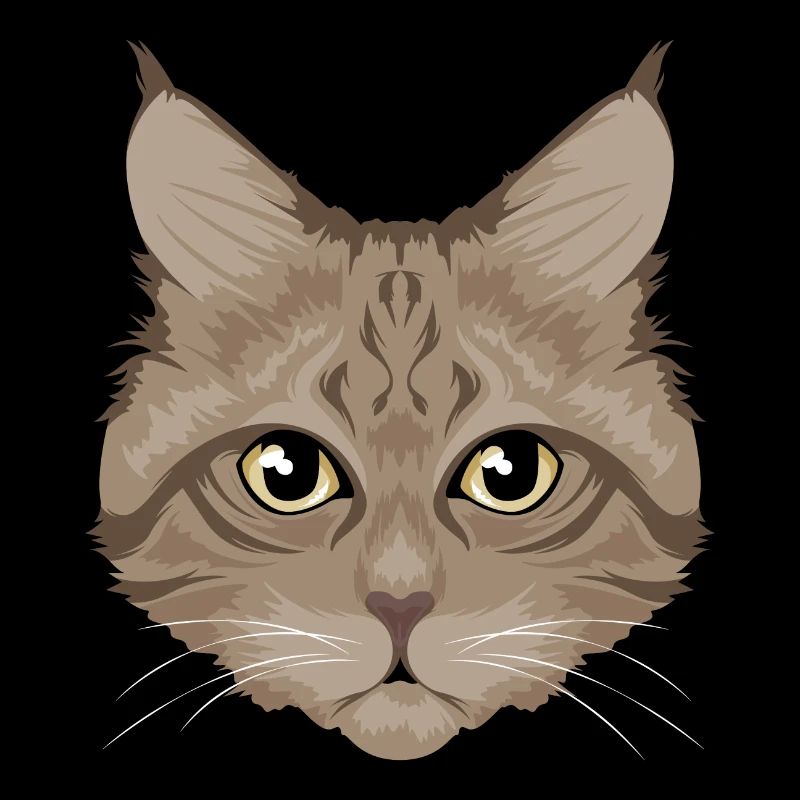 Chat / chat brun