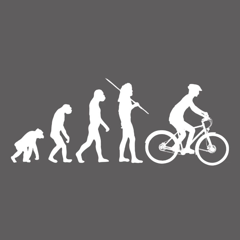 Evolution - bicycle