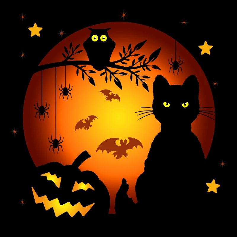 Nuit d’Halloween