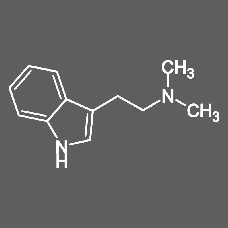 Molécule DMT N, N-Diméthyltryptamine