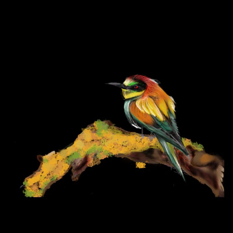 oiseau jeune