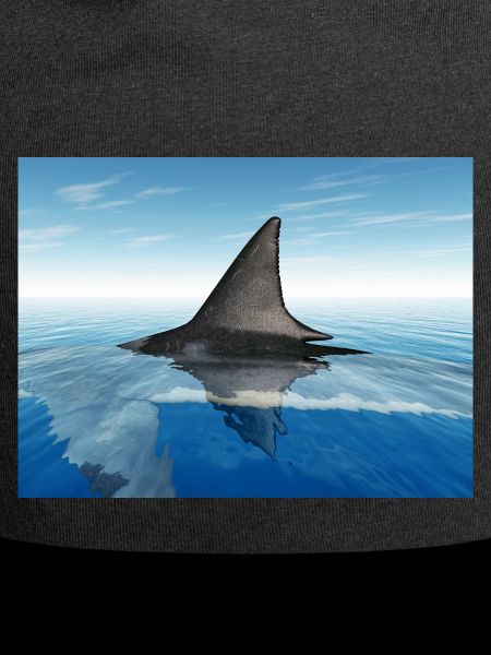 Great white shark