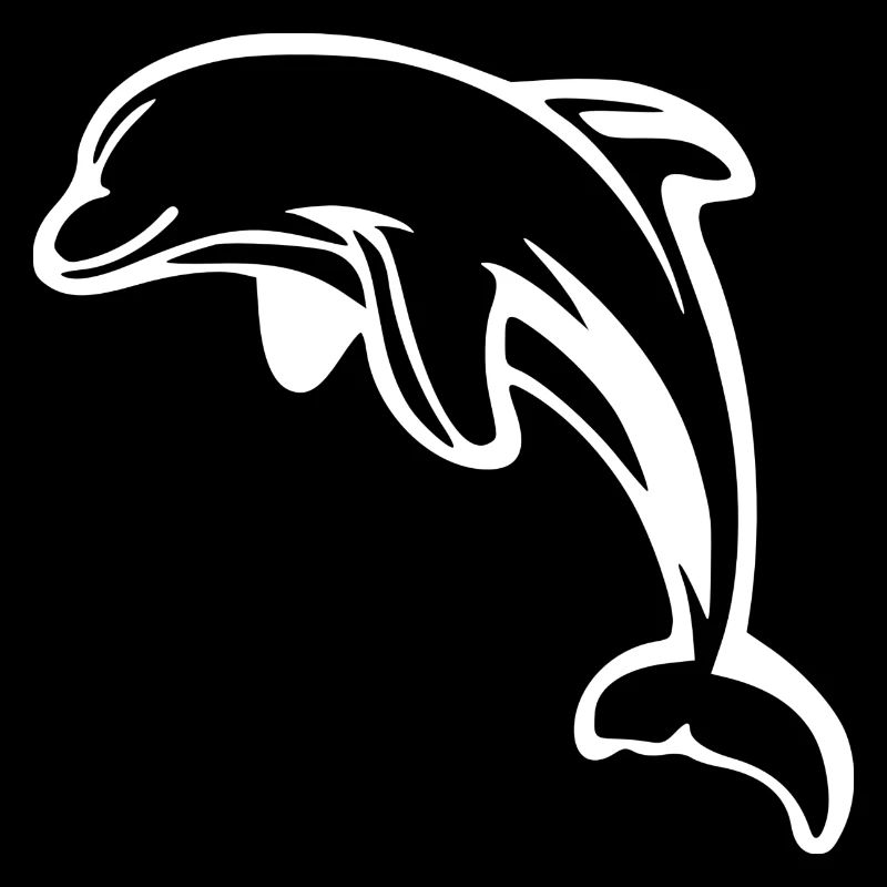 Little dolphin