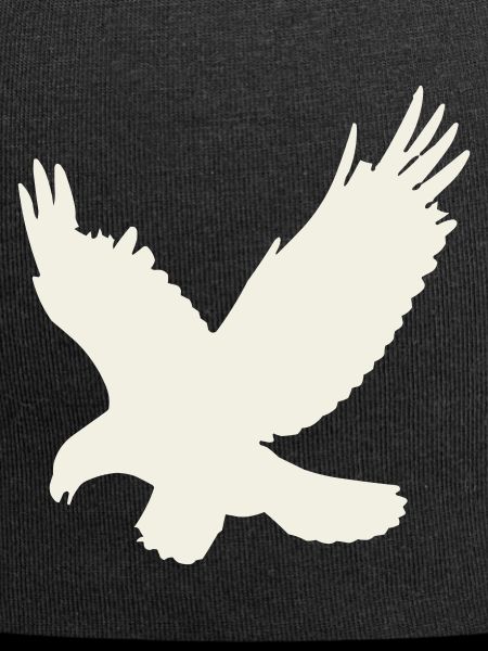 Eagle silhouette in flight