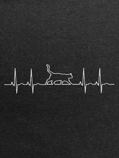 ECG cat