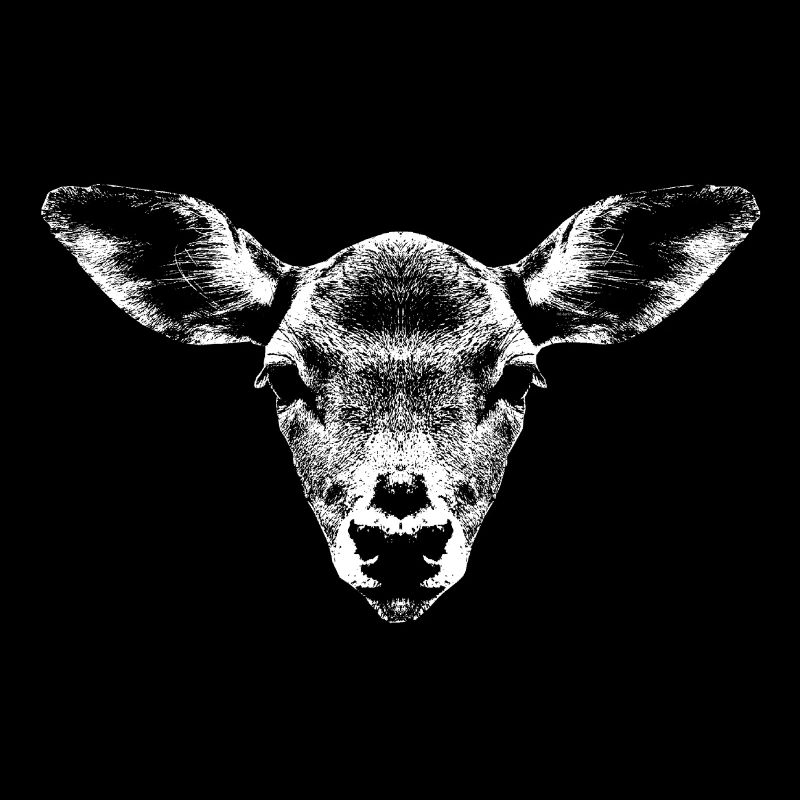 Deer portrait light