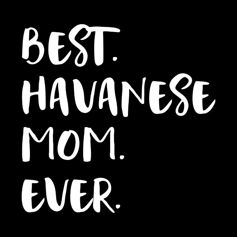Havaneser Havanese