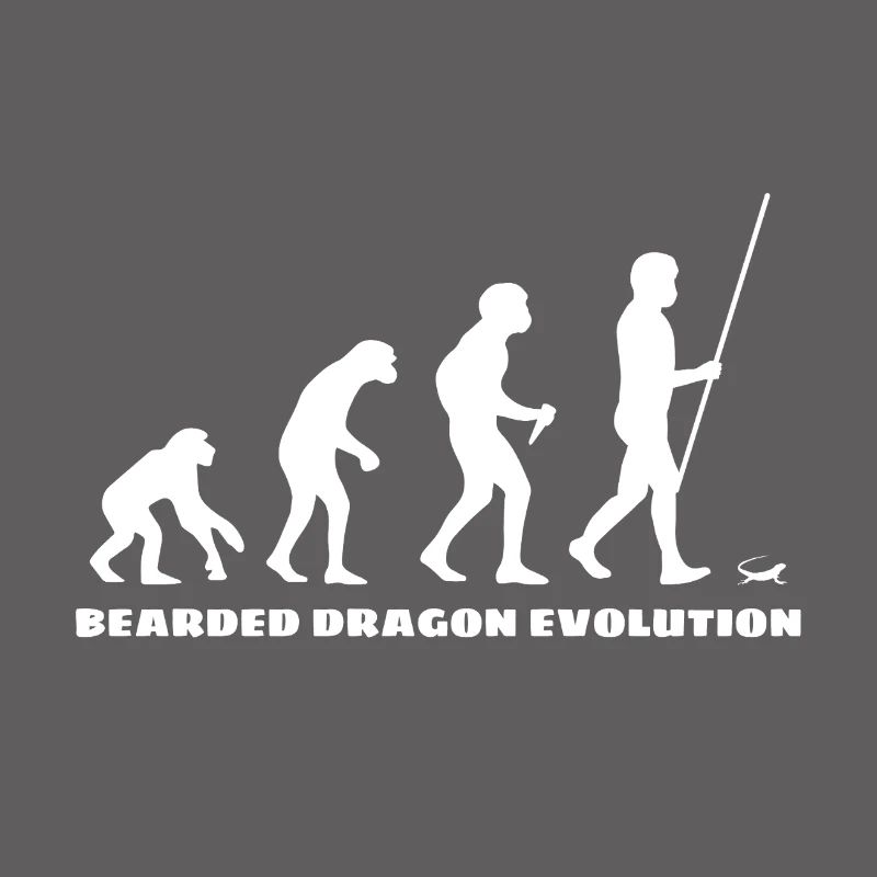 Dragon barbu Bartagame Evolution