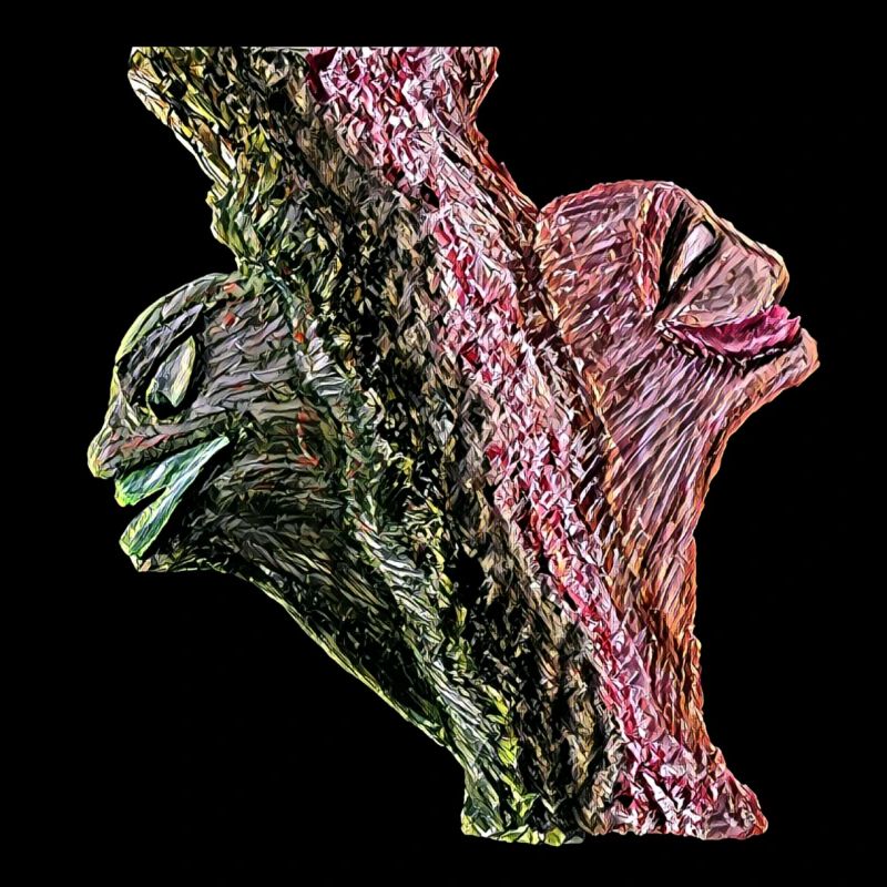 Duality