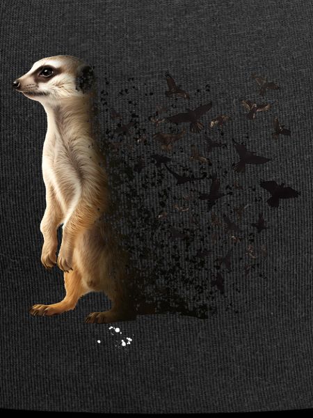 Suricate