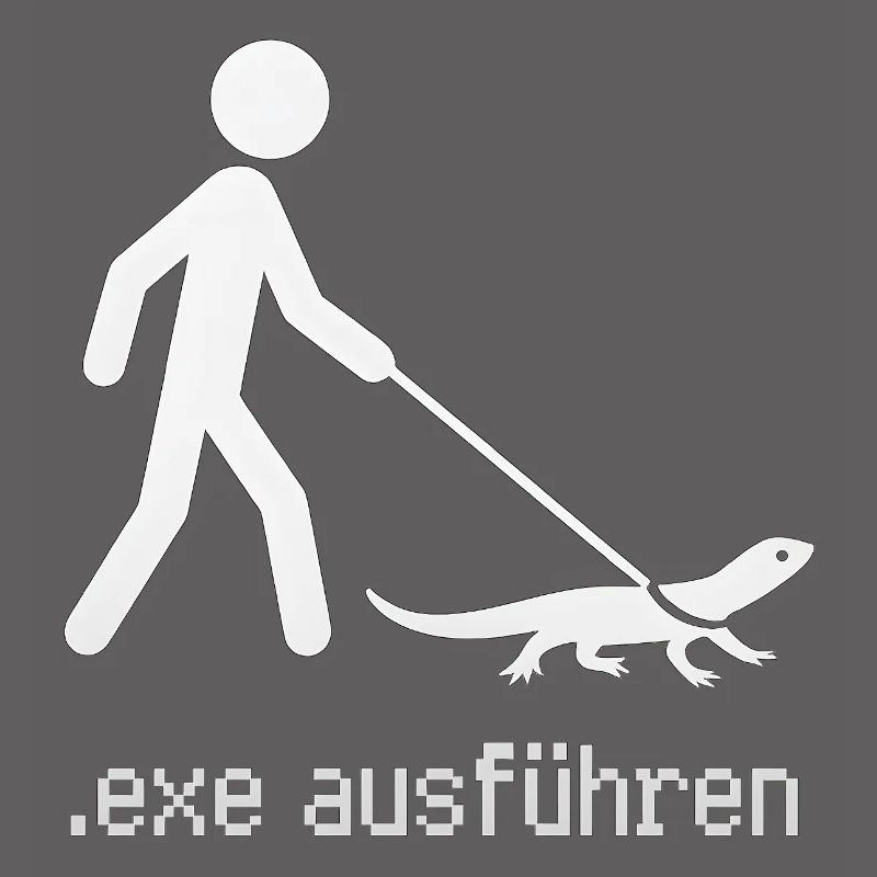 EXE ausführen Admin Informatiker Programmierer