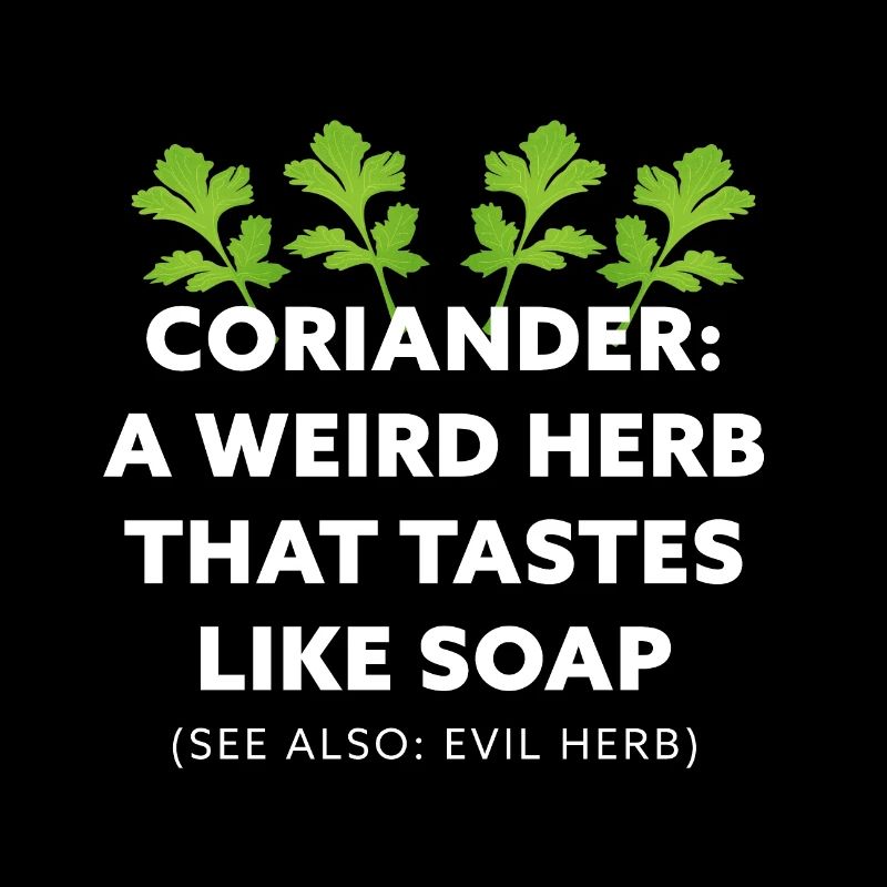 Coriander: A weird Herb that tastes like Soap Gift