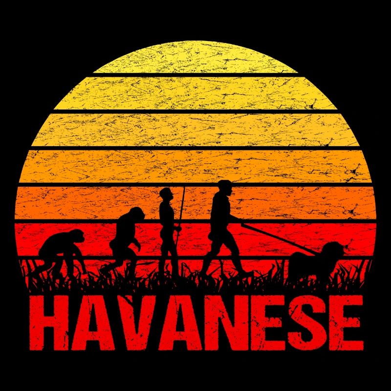 Havanese Sunrise Walk Evolution Funny