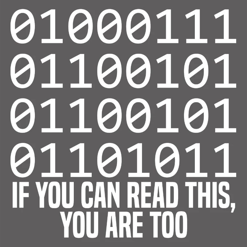 Programmer Coder Software Developer