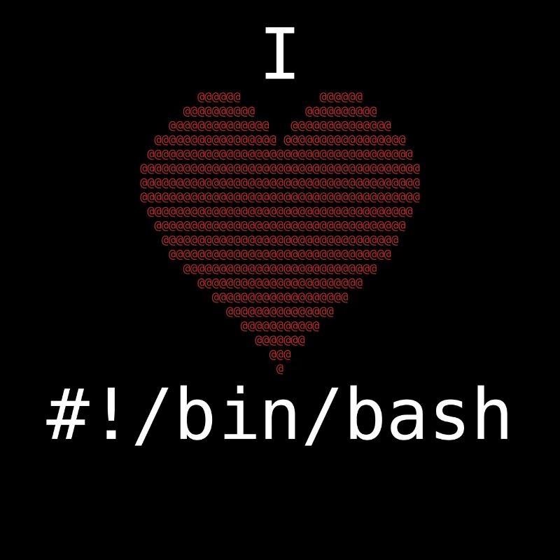 I Love Bash Administrator Developer Gift