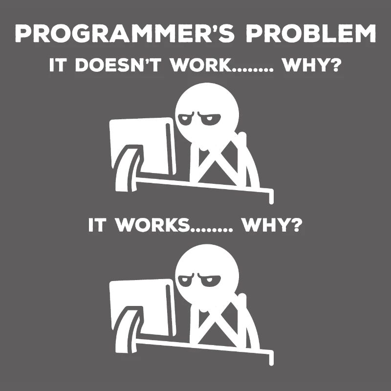 Computer Scientist Problem