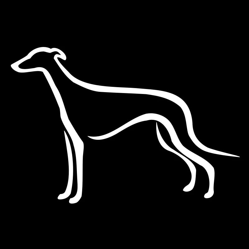 Greyhound