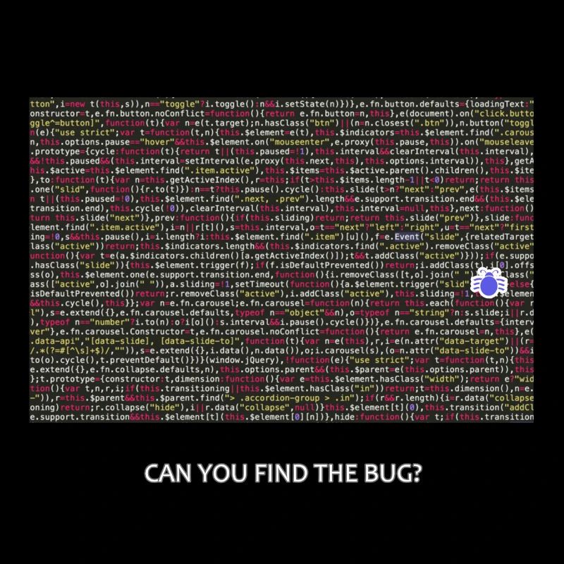 Programmer, coder, bugs, debugging