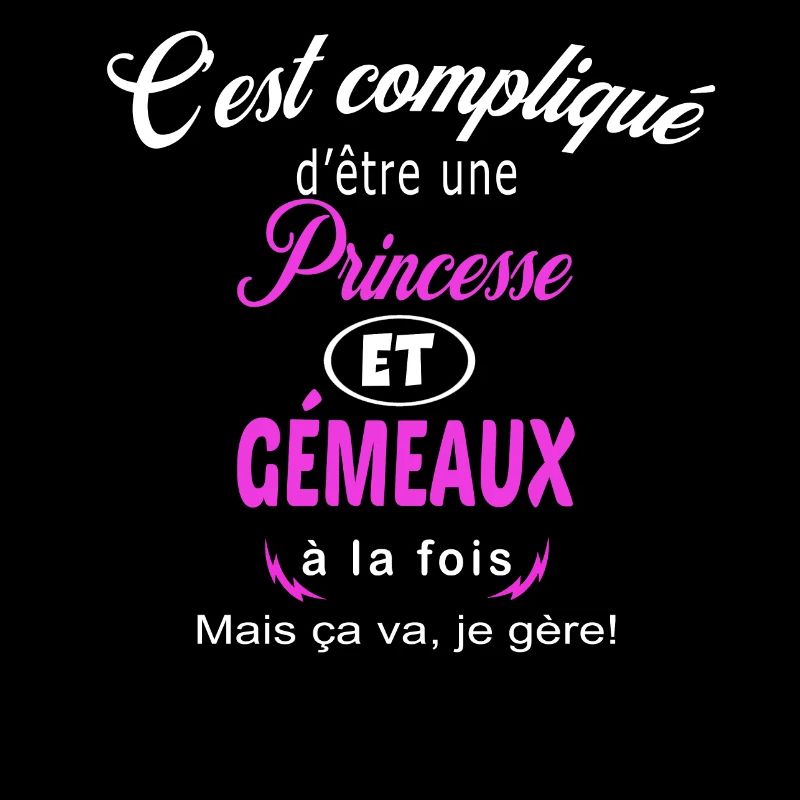 c'est compliqué princesse et gémeaux