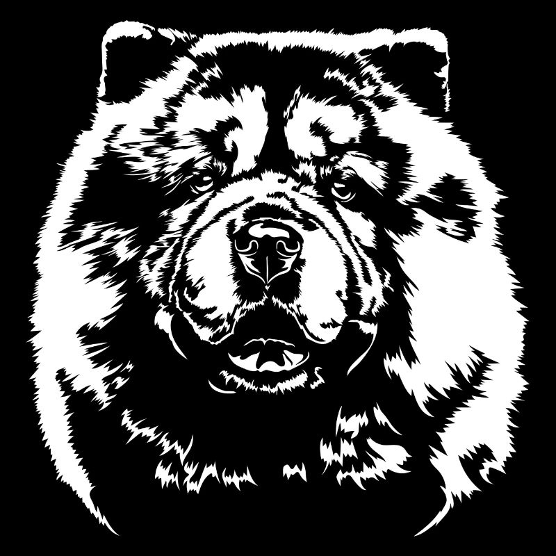 CHOW chien chien Portrait Wilsigns