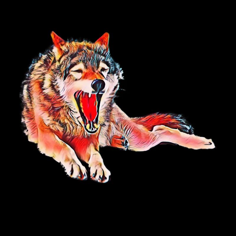 Wolf