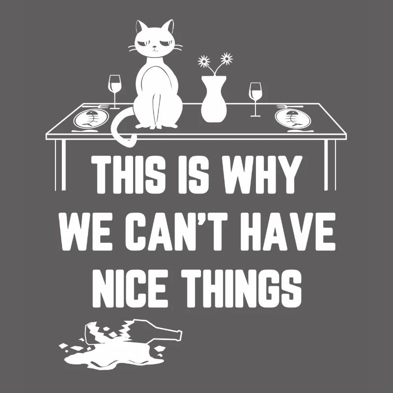 This Is Why We Can t Have Nice Things