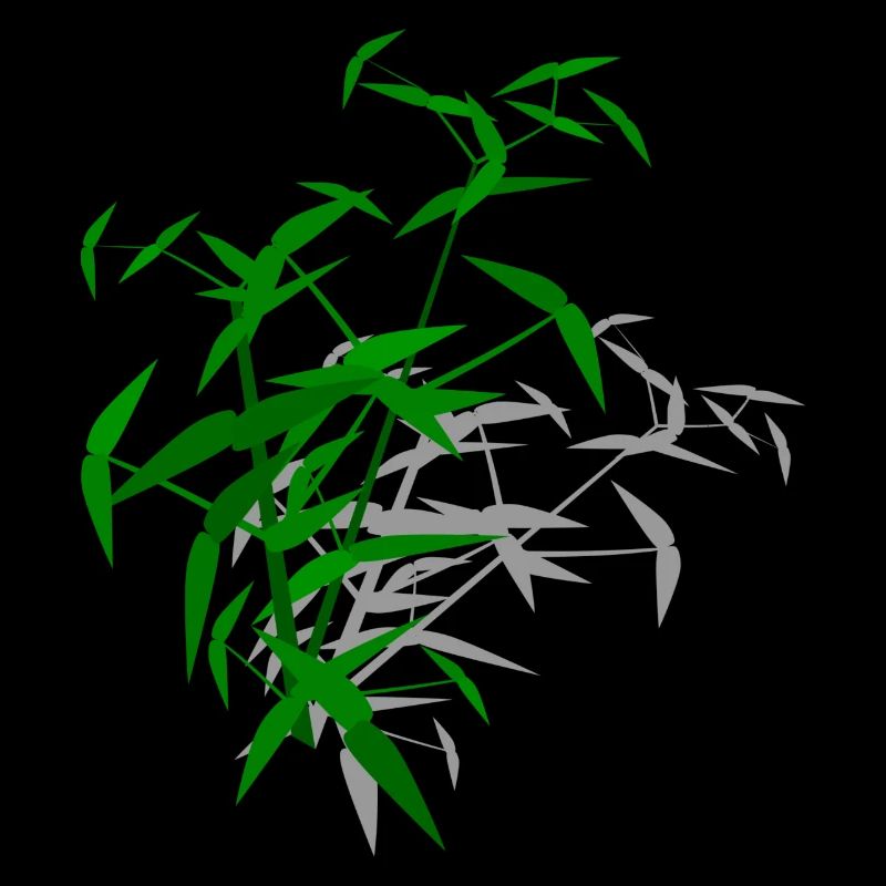 Bamboo with shadow