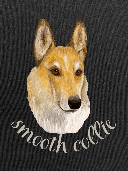 Smooth collie
