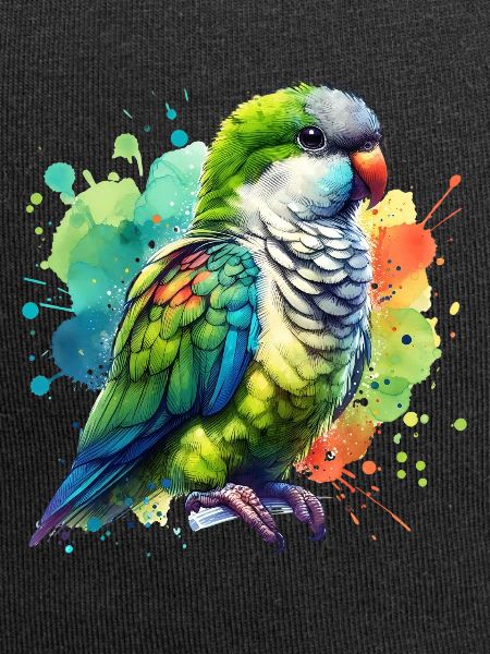 Monk Parakeet Gift