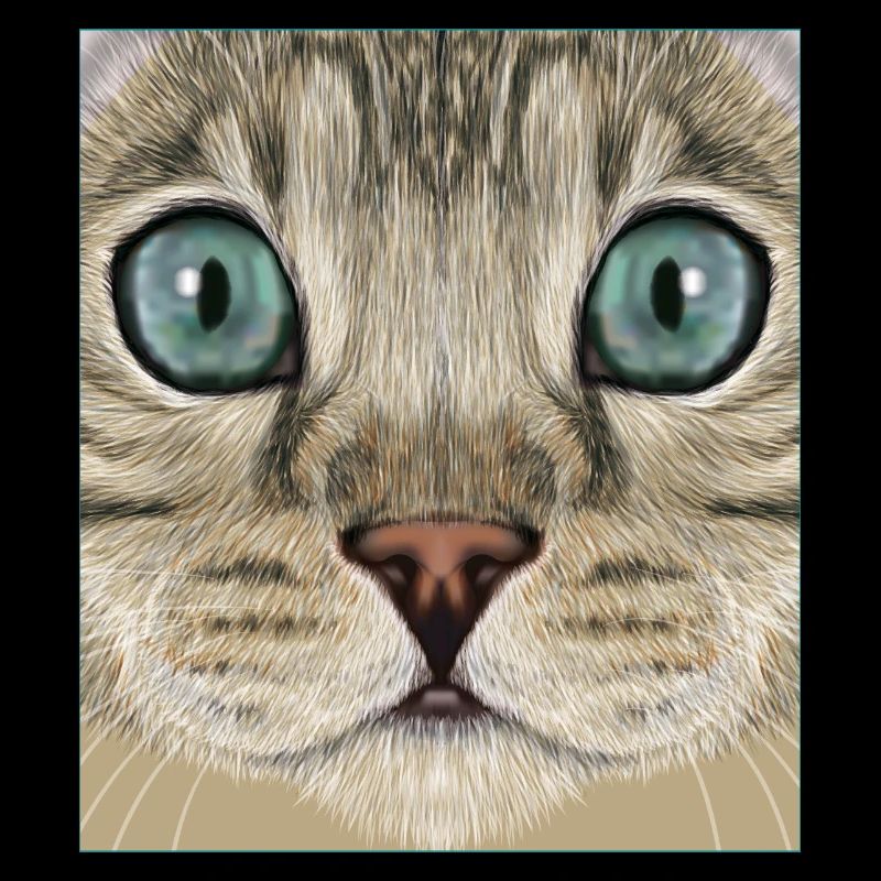 Chat léopard