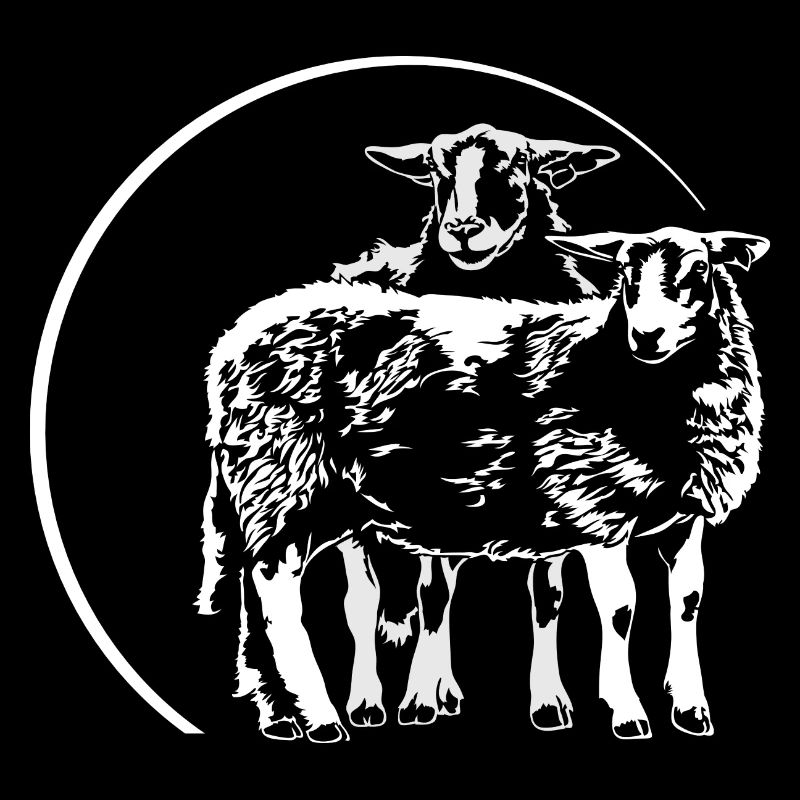 SCHAFE Schaf Sheep Tier Schäfer Wilsigns