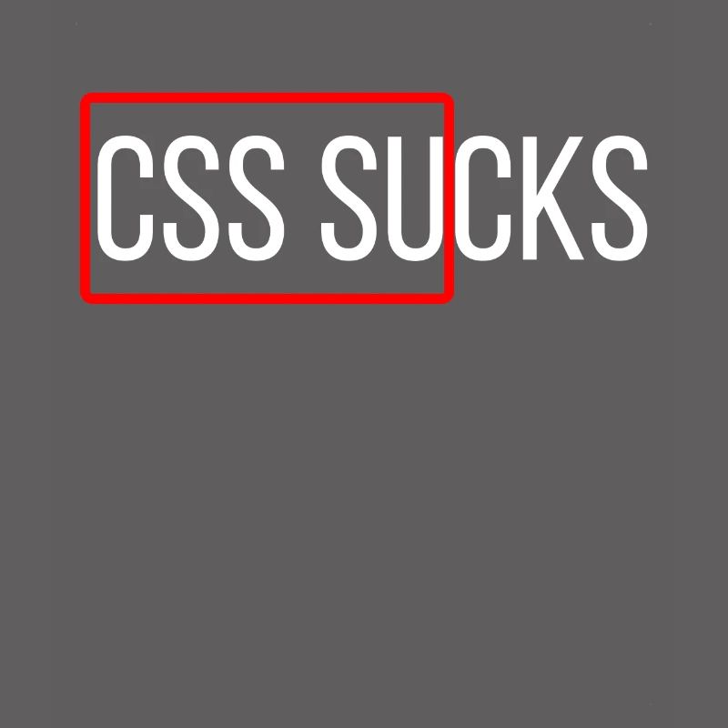 CSS sucks CSS programming funny programmers