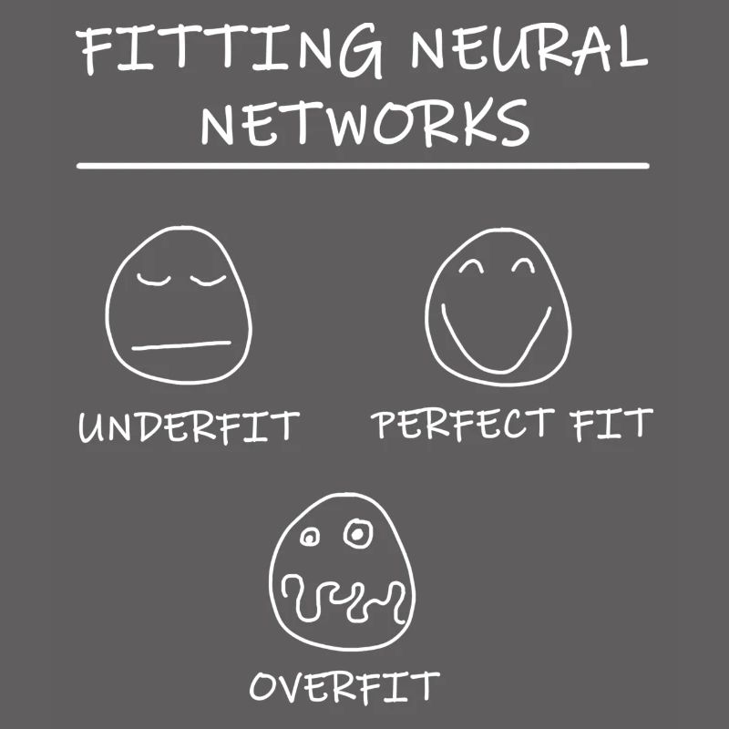 Datascience: Neural Networks Model Fitting (White)