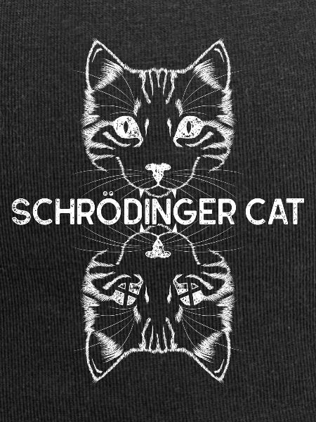 Quantentheorie Schrödingers Katze