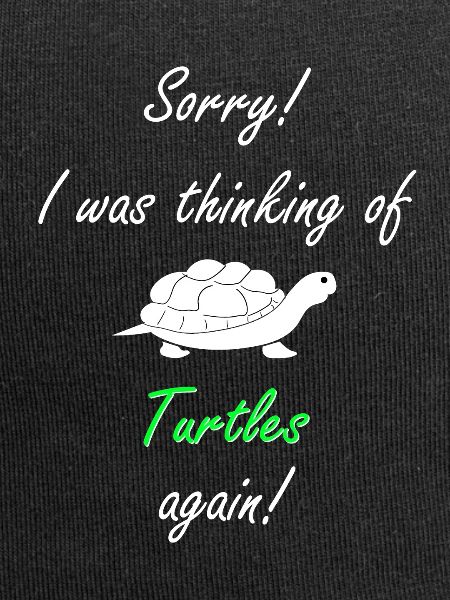 Turtle Turtle