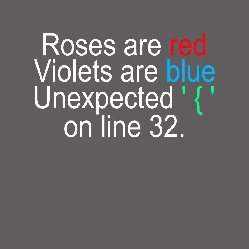 Programmer Computer Scientist Programming