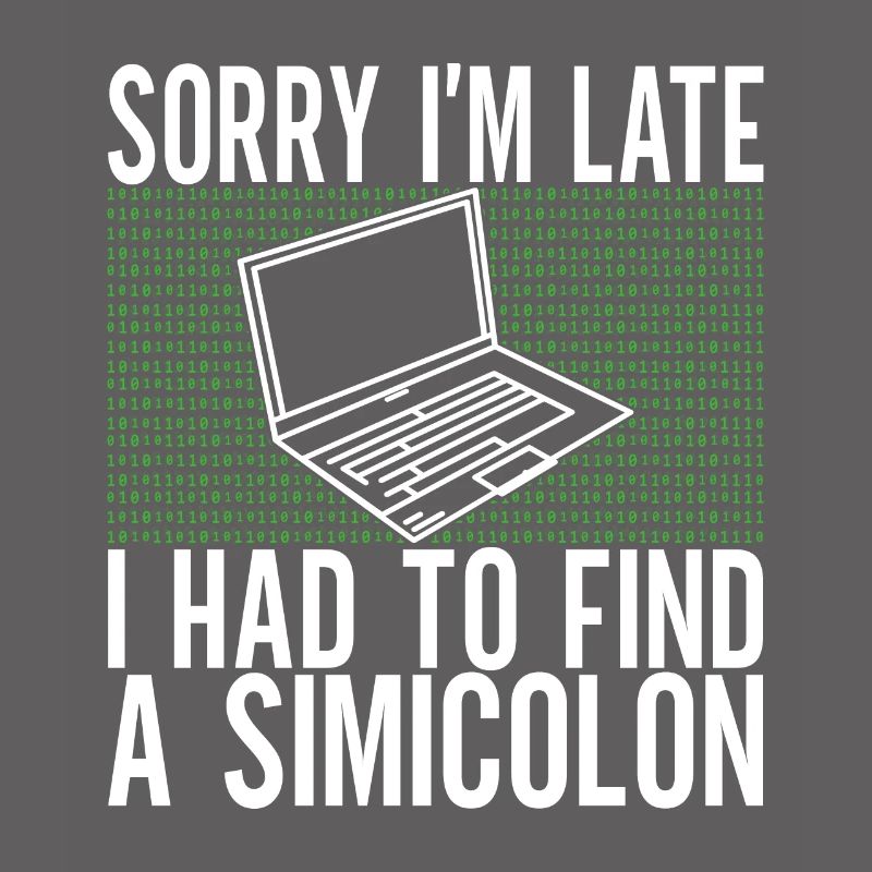 Programmer Computer Scientist