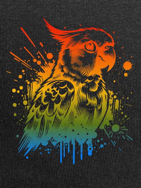 Sun parakeet