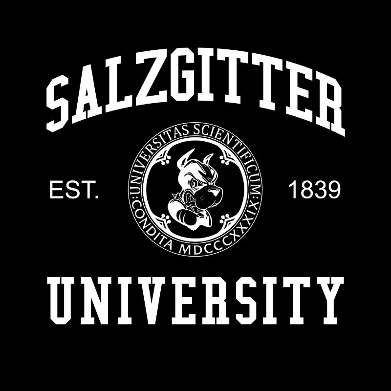 Université de Salzgitter Université des sciences appliquées