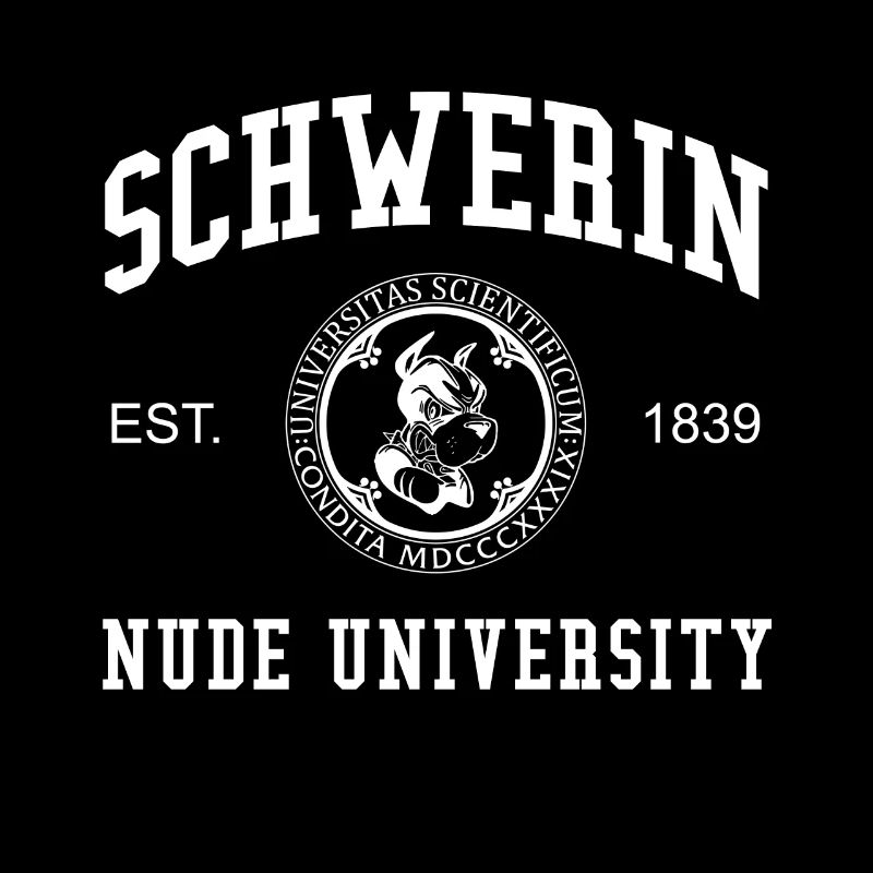 Collège universitaire nu de Schwerin