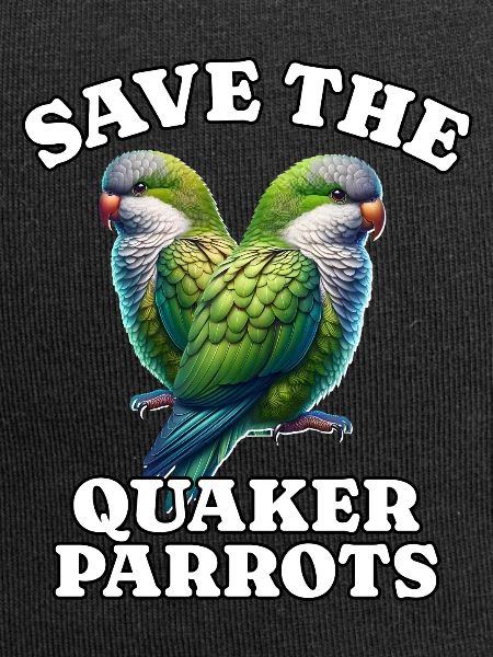 Mönchssittich Save Quaker Parrot