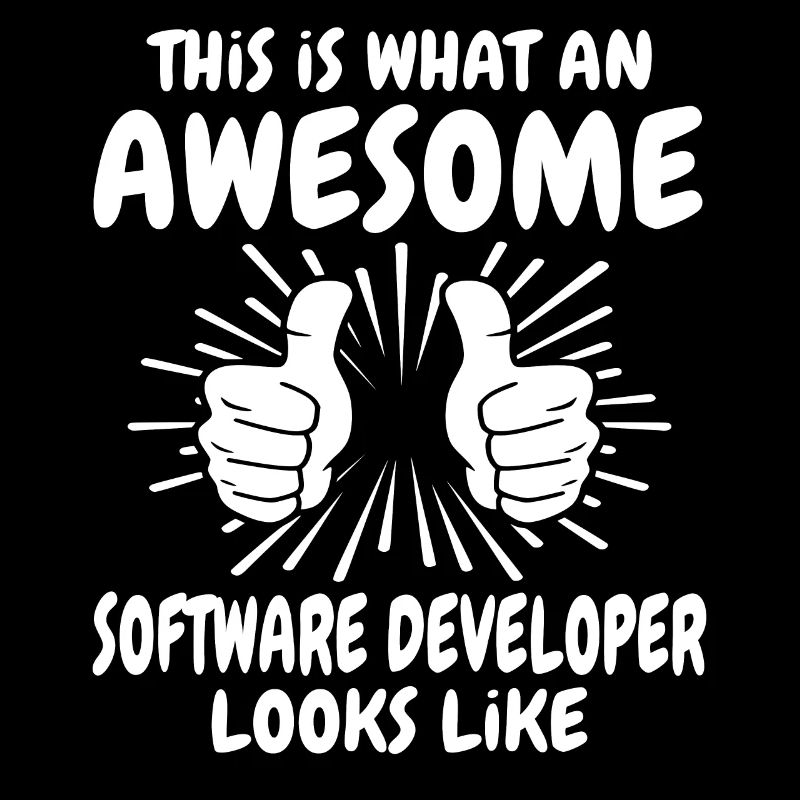 Software Entwickler