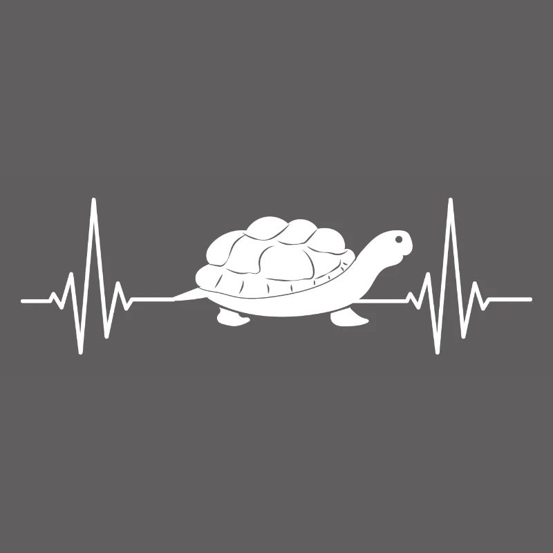 Turtle Turtle