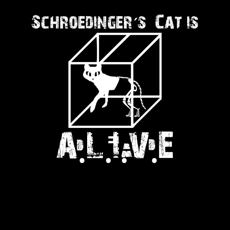 Le chat de Schrödinger - Big Bang Cat Schrödinger